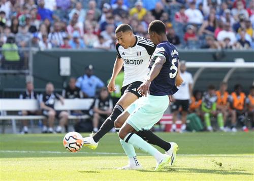 富勒姆 vs 布伦特福德