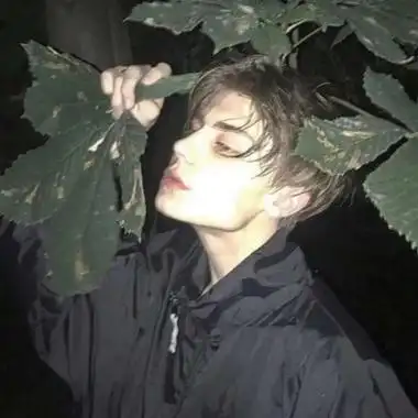 6686体育平台首席作者Vega