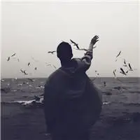 6686体育平台官方作者Alice