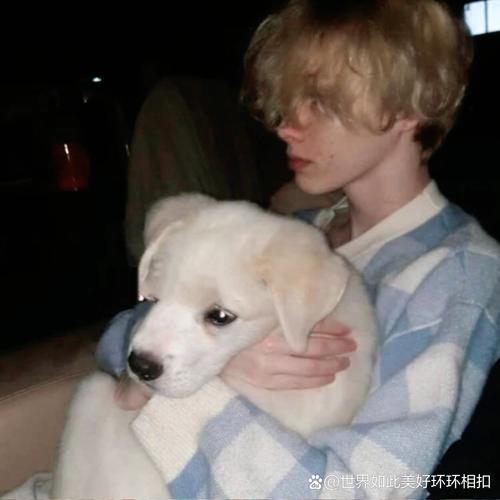 6686体育平台初级作者Hazel