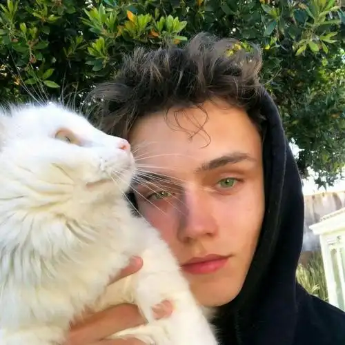 6686体育平台特邀作者尐兎兎