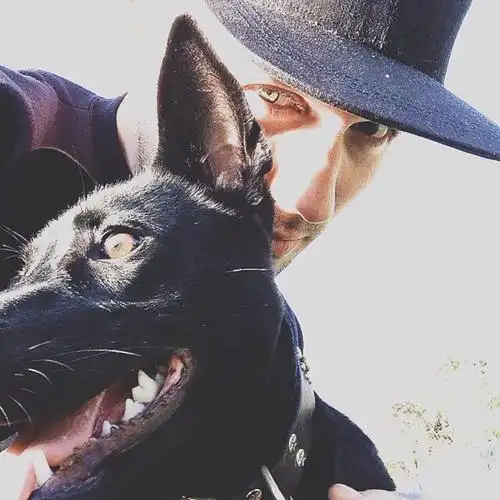 6686体育平台铁牌作者Uma