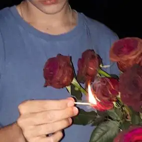 6686体育平台初级作者Noah