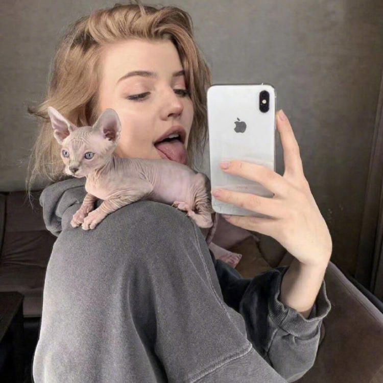 6686体育平台铁牌作者Tessa