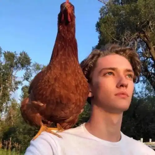 6686体育平台初级作者甜味超标